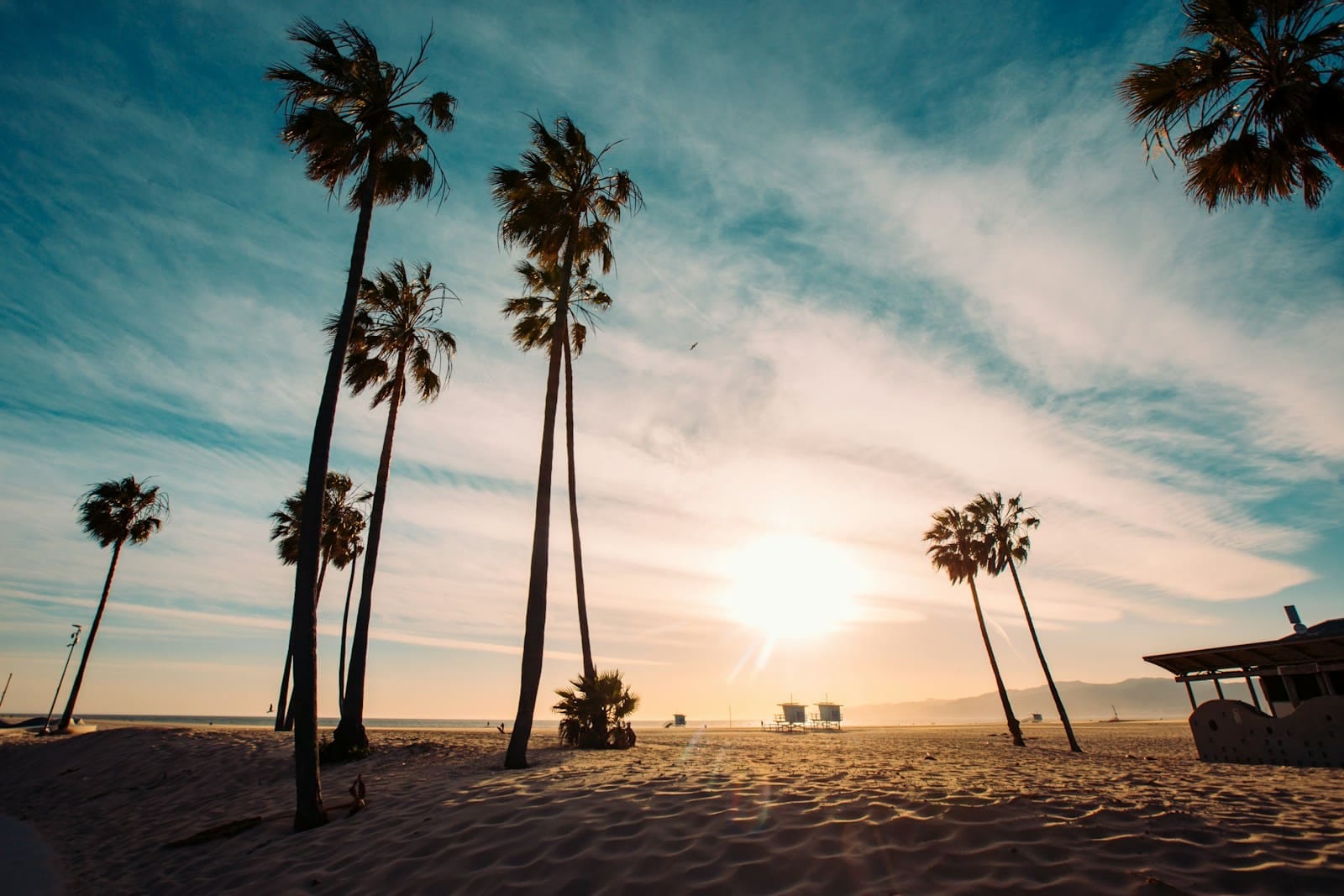 palm trees on beach during sunset in california